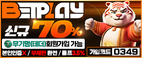 벳플레이-290x120-0349.jpg